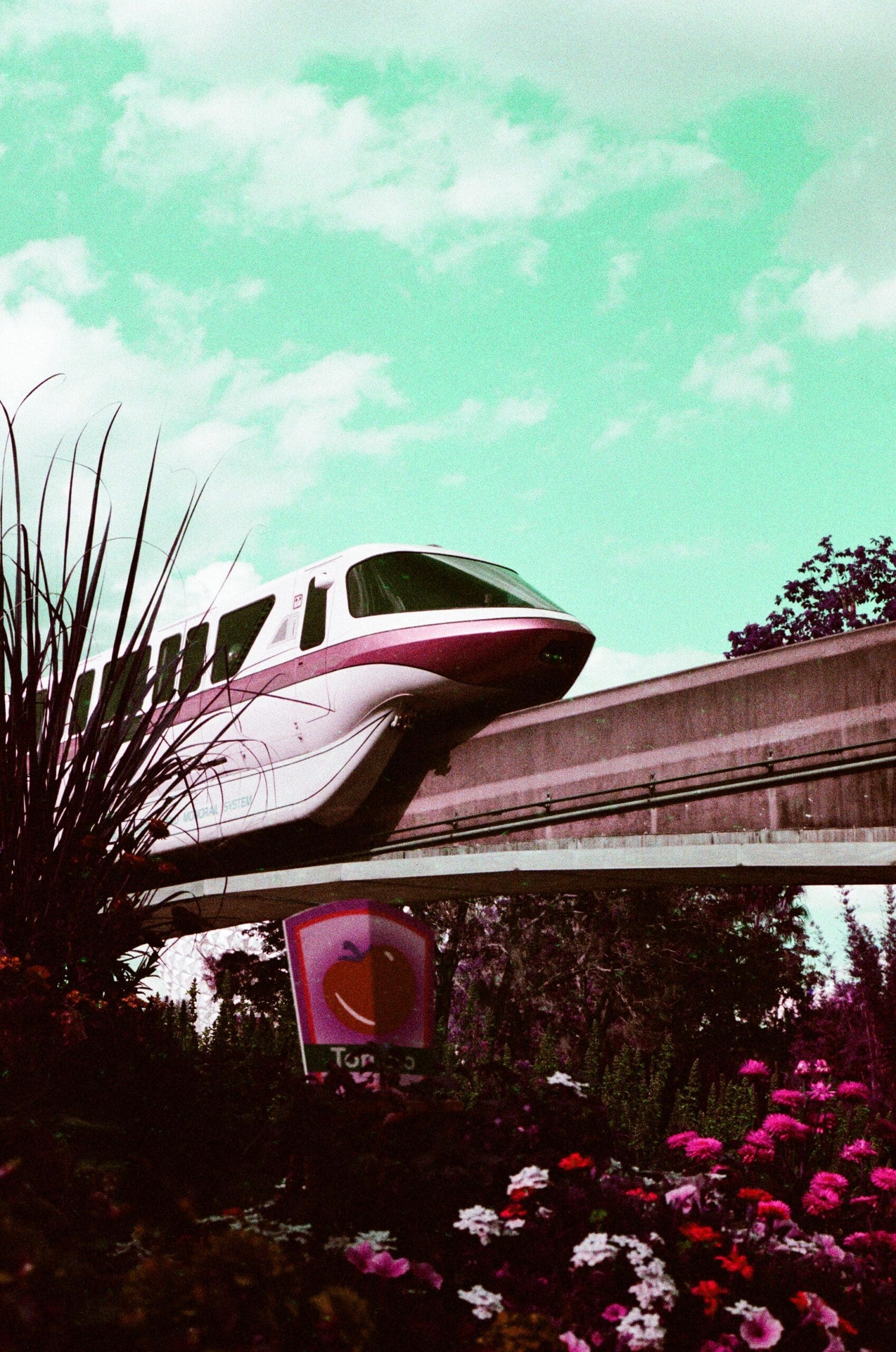 Disney monorail gliding above Epcot festival flowers against a teal sky, shot on Lomography LomoChrome Purple film